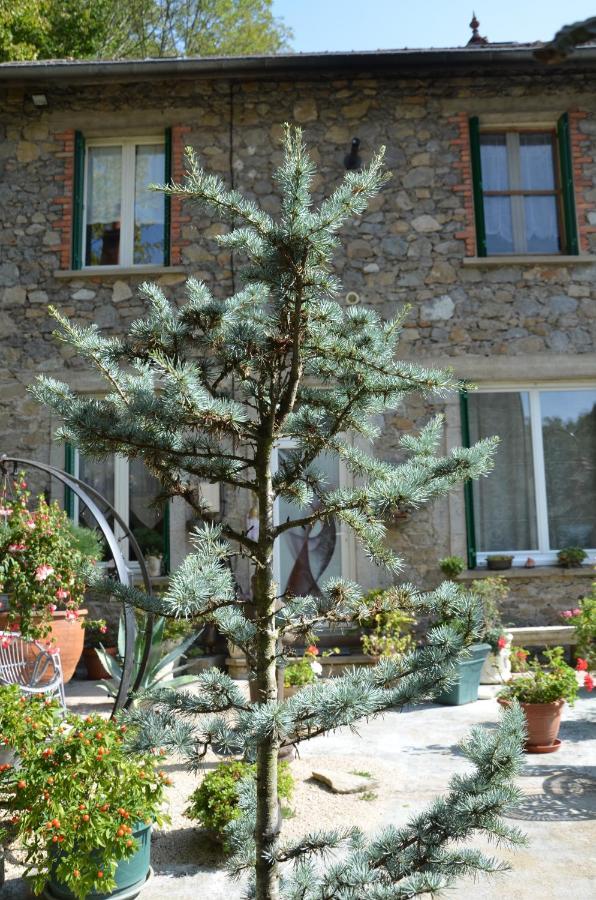 Olliergues Chambre Bounty, B&B, Cuisine Privee, Lit Queen Size, Terrasse, Parking, Garage מראה חיצוני תמונה