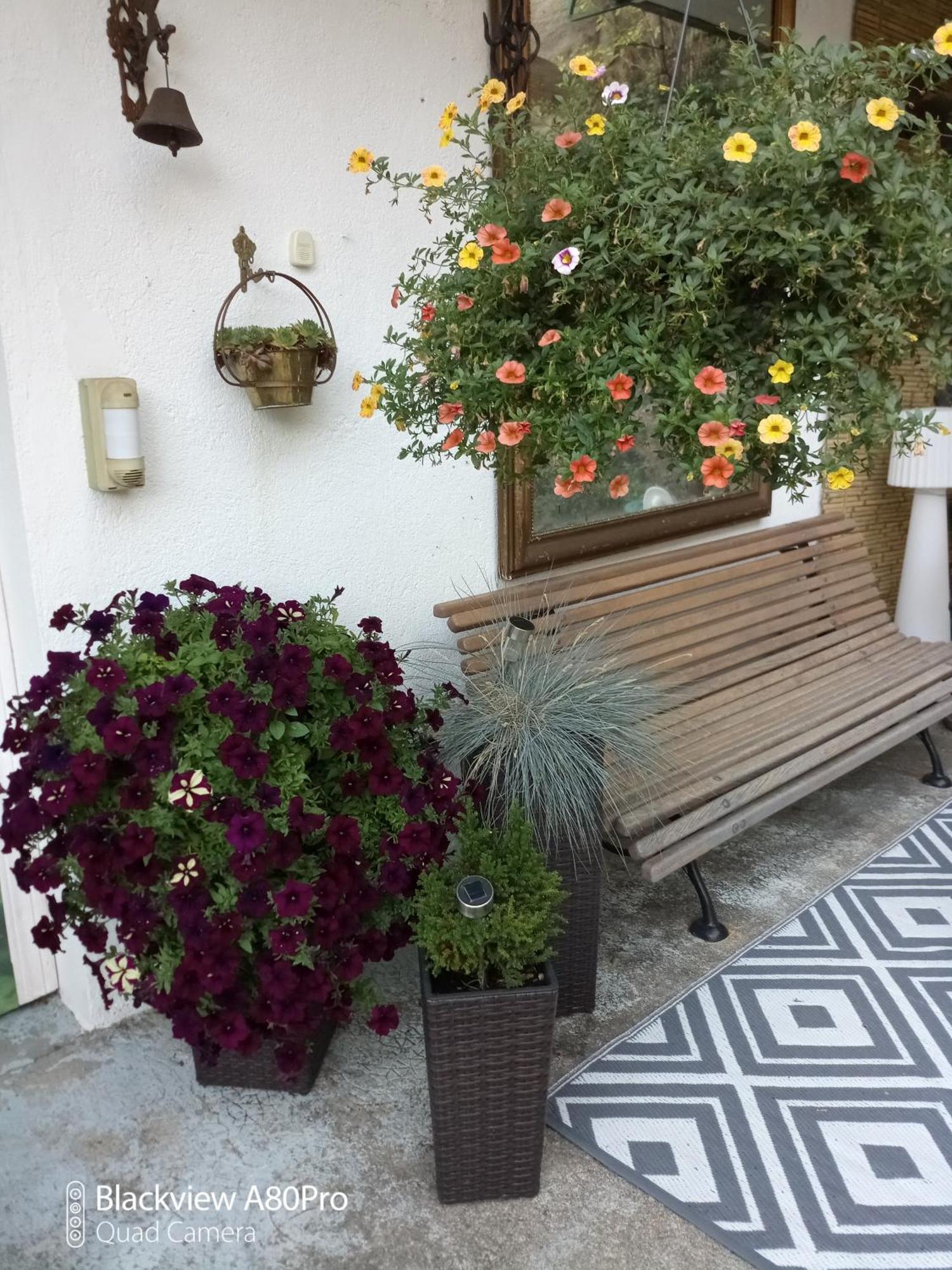 Olliergues Chambre Bounty, B&B, Cuisine Privee, Lit Queen Size, Terrasse, Parking, Garage מראה חיצוני תמונה